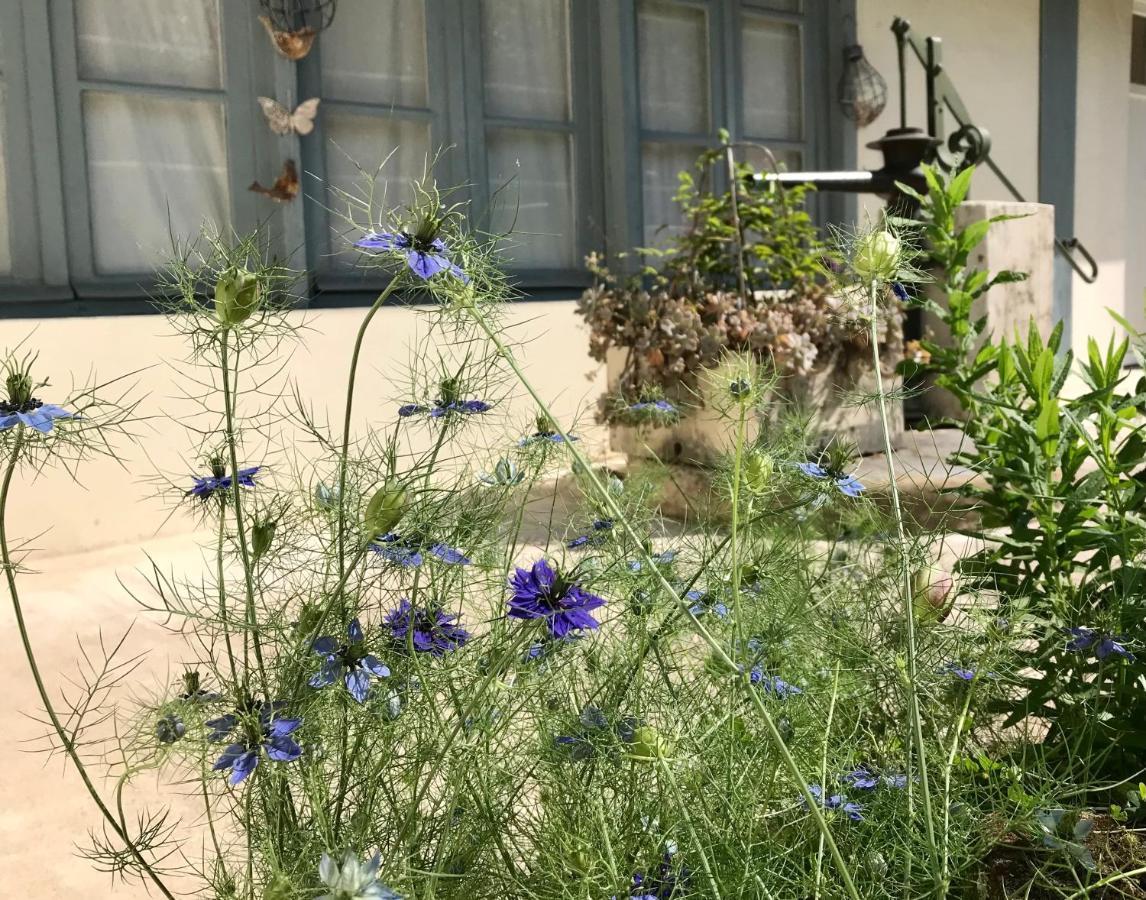 Le Gite De L'Atelier Bergerac Bagian luar foto